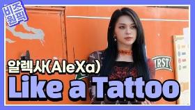 '글로벌 슈퍼루키' 알렉사(AleXa), Like a Tattoo [비즈 원픽]