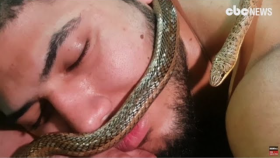 '역시 마사지는 뱀이 최고' … 보기만 해도 소름 돋는 '뱀마사지' (Snake massage in Egypt but not for the faint-hearted)