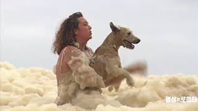 '저세상 거품' 속에서 견공 '구사일생'(Dog rescued from sea foam as huge sea)