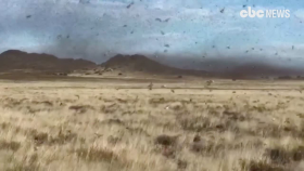 남아프리카 메뚜기떼 침공…펄벅 '대지' 연상(Farms in South Africa invaded by swarms of locusts)