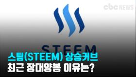 [코인Talk] 스팀(STEEM) 상승커브, 최근 장대양봉 이유는?