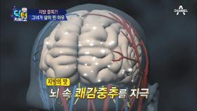 고기가 자꾸 당기는 ‘지방 중독’?! 지방의 맛이 뇌를 자극한다!