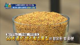 스테미나의 원천! 직접 먹어본 벌 화분의 맛은?