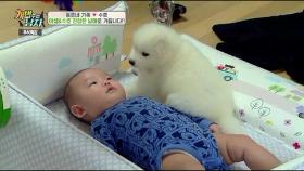 [개귀욤주의]유튜브에서만 보던 강아지와 아이의 투 샷!♥