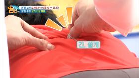 등만 꼬집어 장기 건강 예측! 소름돋는 적중률의 ‘내장 체표반사’!