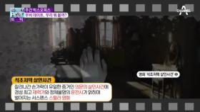 주간 박스오피스 무비 데이트! 이번주 추천 영화는?