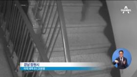 아파트 4층까지 돌진한 멧돼지…CCTV 영상