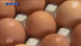 ‘살충제 달걀’에 유럽이 발칵…닭고기도 조사