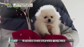 양세형, 심장 찢어지게(?) 귀여운 솜사탕 아기犬에 깨방정 폭발!