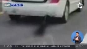 강아지 차에 매달고 '시속 80km' 질주... 끔찍 영상