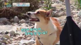 대중소를 구하려다 주병진이 다쳤다?!