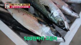 세상 어디에도 없는 가격! 고등어 한 마리가 오백 원?