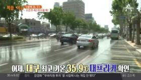 대프리카 대구, 최고 기온 35.9도까지 치솟아