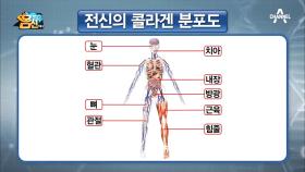 피부 탄력엔 '콜라겐'이 생명! 콜라겐이 없으면 몸 전체가 망가진다?!