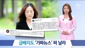 금배지도 ‘가짜뉴스’ 퍼 날라…SNS 논란