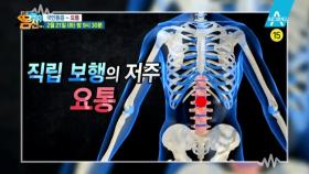 [예고] 허리 통증 완전정복!