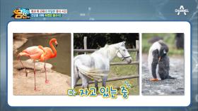 ‘꿀잠’ 원해요?! 목과 목 근육을 잘 쉬게 해줘야 한다!