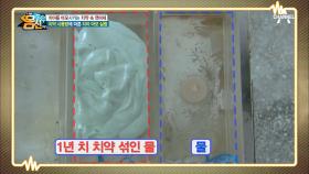 치아를 마모시키는 치약 속 연마제! 치약 사용량이 적으면 적을수록 좋은 이유!