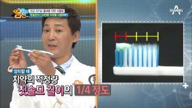 (중요) '짜다 만'만큼만 치약을 사용해라! 건강 지키는 올바른 치약 사용법!