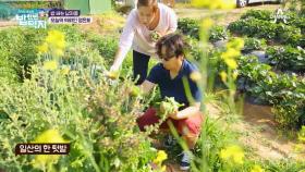 난 오직 육류만 판다! ‘삼시세끼 고기특집’ 오늘의 의뢰인은?!