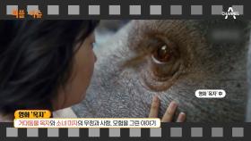 옥자 봉준호 감독 위기, 극장 미상영에 황금종려상?