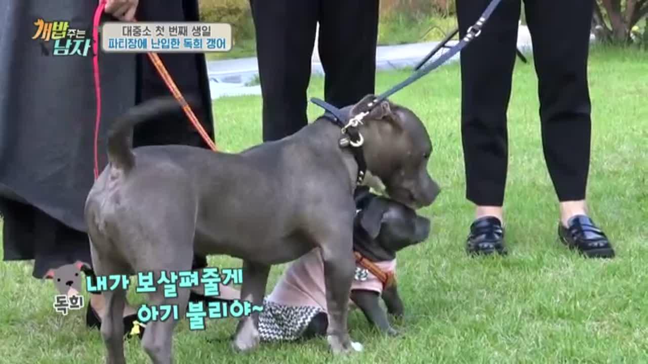 친절한 독희씨?! 아기 강아지 보살펴주는 독희!!♥ | ZUM TV