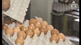 국내서도 살충제 달걀…판매 중단