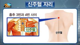 등짝... 등짝을 보자! 면역력 책임지는 인체의 기둥, ‘등’!