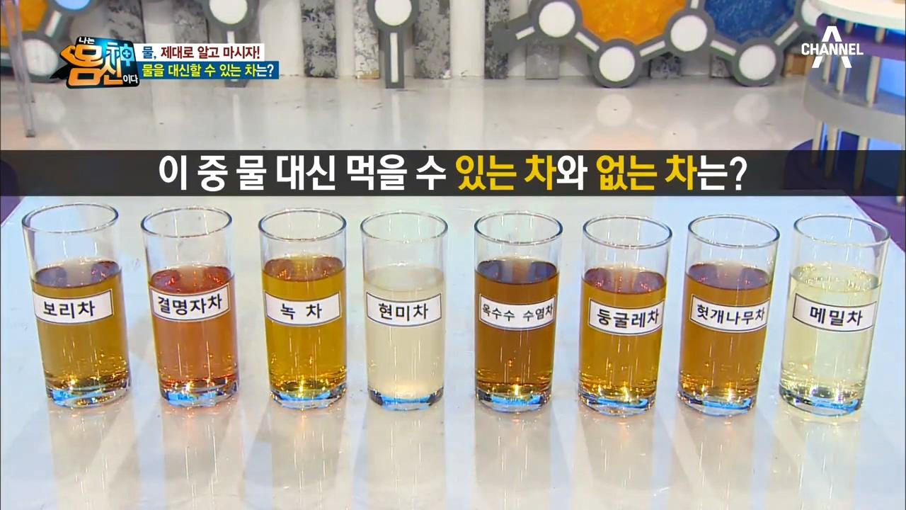 ‘물 마셨다고 쳐(?)줘~!’ 물 대신 마실 수 있는 차, 없는 차가 따로 있다?! | ZUM TV