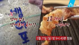 [예고] 칼슘의 왕 뱅어포, 그런데 뱅어포에는 뱅어가 없다?!