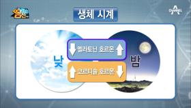 인생에 1/3 기간 동안 잠을 자는 이유! #생체시계 #멜라토닌