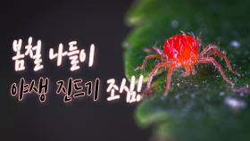 봄철, 야생 진드기 기승