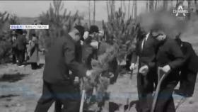 이미 꽃은 피었는데…“지각 식목일, 3월로 바꾸자”