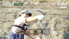 [예고] 이연복&강레오 셰프, 장어 맨손잡기 신공 발휘!