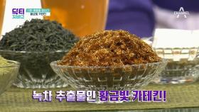 체지방 감소와 황산화 효과를 위한 카테킨의 1일 권장 섭취량은?