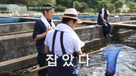 이연복 & 강레오 셰프 송어 잡기에 나서다!
