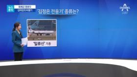 [뉴스분석]김여정·북한 예술단 방남…육해공 열여줬다