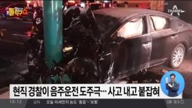 현직 경찰이 음주운전 도주극…사고 내고 붙잡혀