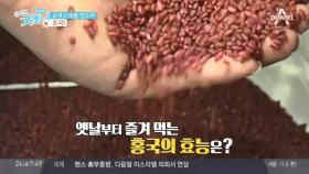 콜레스테롤 청소부, 홍국!