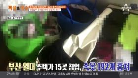 훔친 여성 속옷만 200여 개?… 범인은 초등학교 男 교사