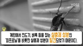 '살충제 달걀', 제2의 '가습기 살균제 사태' 되나?