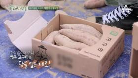 유쾌한 삼촌들, 고구마 선별작업을 체험하다