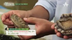 건강한 전복을 위한 전복 양식법 대공개