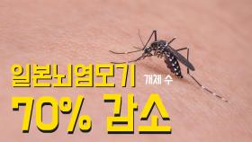 폭염에 일본뇌염모기 개체수 70% 감소