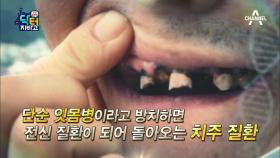 입 속 세균이 병을 부른다! 나이 들수록 심해지는 '치주염'