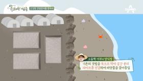 건강한 갯벌 장어를 찾아서! 갯벌 장어 양식 방법