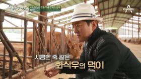 사람이 먹어도 되는 여물?! 화식우의 여물은 어떻게 만들어질까?