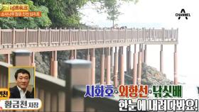 국내 최고의 소사나무 군락지, 인천 십리포 해변