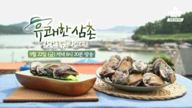 [예고] 전복의 고향 완도에서 만난 착한 전복 어부