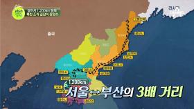 매일매일이 마라톤! 한 달 동안 1200km를 걸어 탈북한 정수씨의 사연!